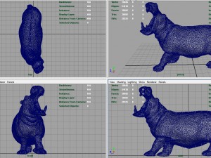 hippopotamus 3D 模型