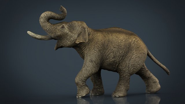 asian elephant 3Dモデル .c4d .max .obj .3ds .fbx .stl .blend 