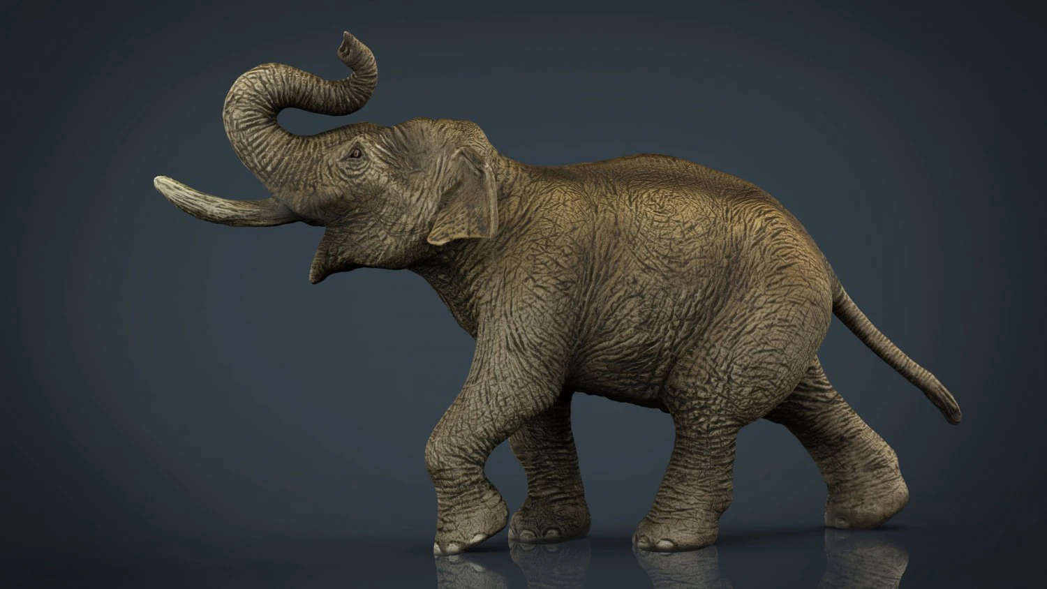 elefante asiatico Modello 3D .c4d .max .obj .3ds .fbx .stl .blend 