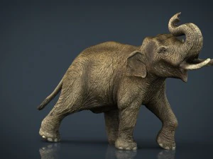 elefante asiatico Modello 3D