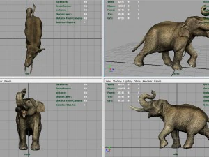 elefante asiatico Modello 3D