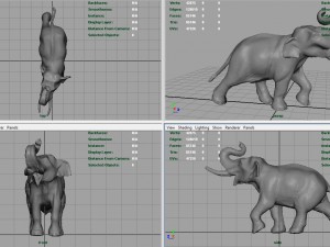 asian elephant 3Dモデル