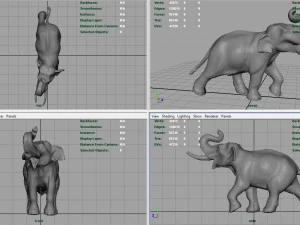 elefante asiatico Modello 3D