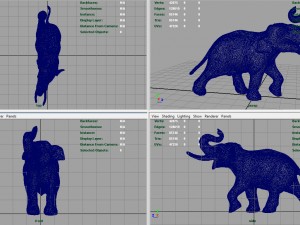 asian elephant 3Dモデル