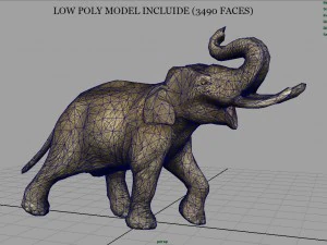 elefante asiatico Modello 3D