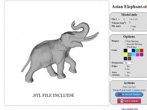 elefante asiatico Modello 3D