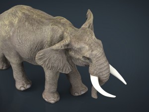 african elephant 3D Модель