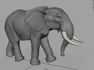 african elephant 3D Model