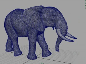 african elephant 3D Model