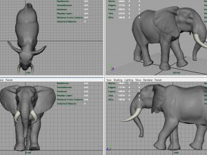 african elephant 3D Модель