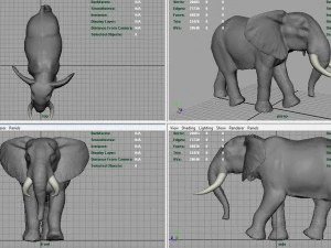 african elephant 3D Model