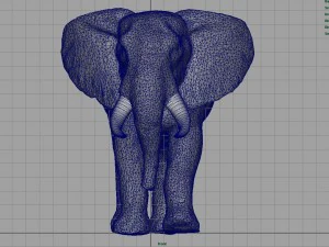 african elephant 3D Model