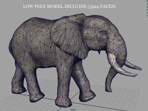 african elephant 3D Model