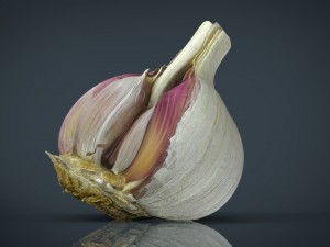 open garlic 3Dモデル