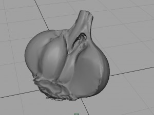 open garlic 3Dモデル