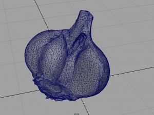 open garlic 3Dモデル