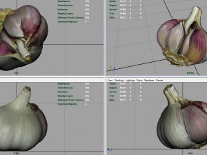 open garlic 3Dモデル