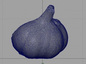 open garlic 3Dモデル
