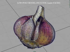 open garlic 3Dモデル