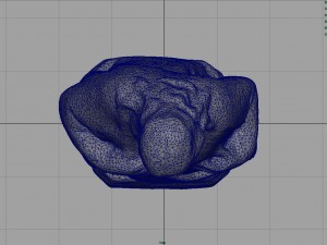 sacred heart of jesus Model 3D