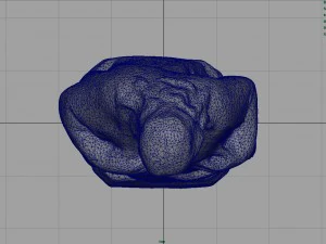 sacred heart of jesus 3D Model