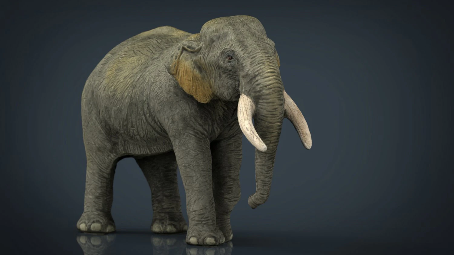 asian elephant mother 3D Model .c4d .max .obj .3ds .fbx .stl .blend 