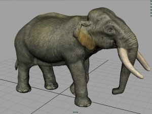 asian elephant mother 3D Model