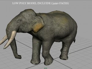 asian elephant mother 3D Model