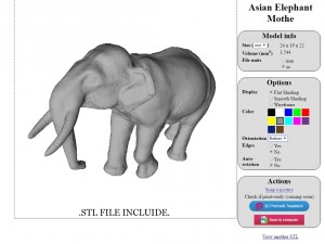 asian elephant mother 3D Модель