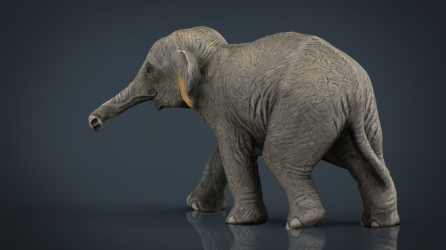 asian elephant babe Modèle 3D .c4d .max .obj .3ds .fbx .stl .blend 