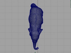 asian elephant babe Modèle 3D