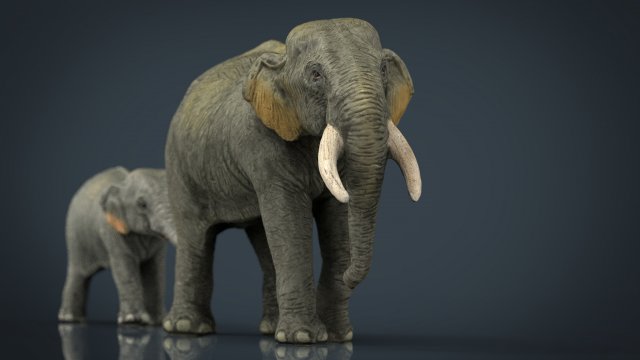 asians elephants mother and babe Modello 3D .c4d .max .obj .3ds .fbx .stl .blend 