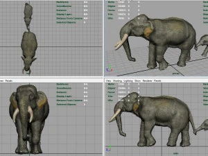 азіатські слони мати і дитина 3D Модель