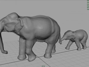 азіатські слони мати і дитина 3D Модель