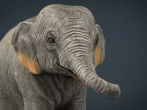 азіатські слони мати і дитина 3D Модель