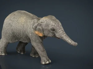 азіатські слони мати і дитина 3D Модель