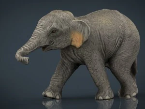 азіатські слони мати і дитина 3D Модель