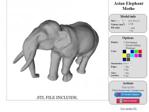 азіатські слони мати і дитина 3D Модель