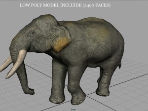 asians elephants mother and babe Modello 3D