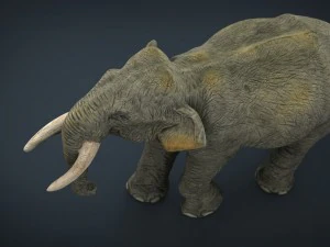 азіатські слони мати і дитина 3D Модель