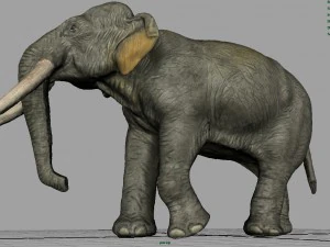 азіатські слони мати і дитина 3D Модель