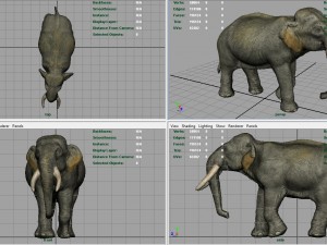asians elephants mother and babe Modello 3D