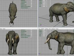азіатські слони мати і дитина 3D Модель