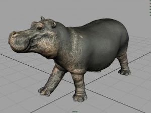 hipopotam z zamkniętymi ustami Model 3D