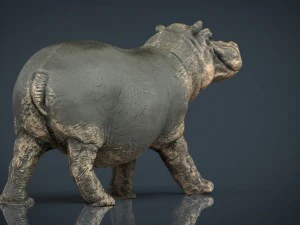hipopotam z zamkniętymi ustami Model 3D