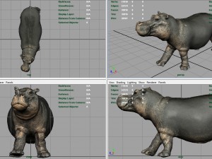 hippopotamus with mouth closed Model 3D