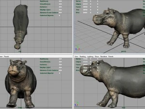 hipopotam z zamkniętymi ustami Model 3D