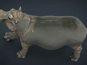 hippopotamus with mouth closed Model 3D