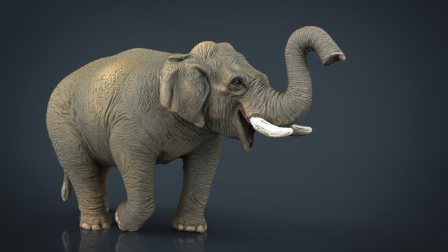 asian elephant 2 3D Model .c4d .max .obj .3ds .fbx .stl .blend 