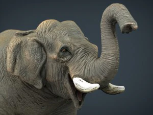 elefante asiatico 2 Modello 3D